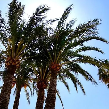 By Costa Daire Denia